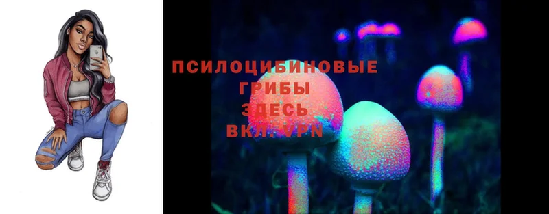 Псилоцибиновые грибы Magic Shrooms  Островной 